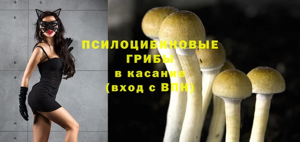 2c-b Нефтекумск