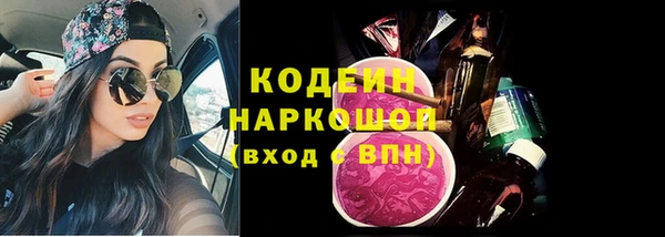 сатива Новозыбков