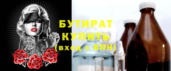 сатива Новозыбков