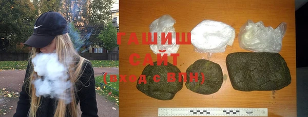 сатива Новозыбков