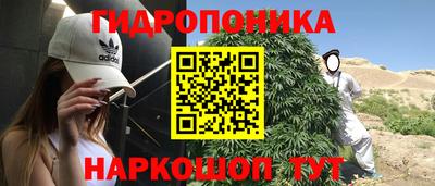 стаф Балахна