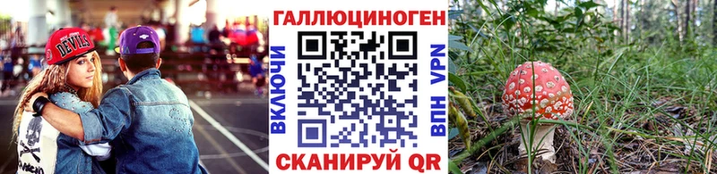 кракен как войти  Боровичи  Псилоцибиновые грибы ЛСД 