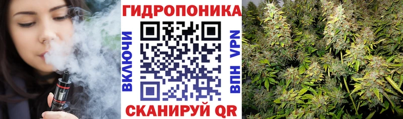 Бошки марихуана планчик кракен ссылки Боровичи как найти